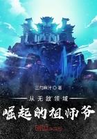 从无敌领域崛起的祖师爷